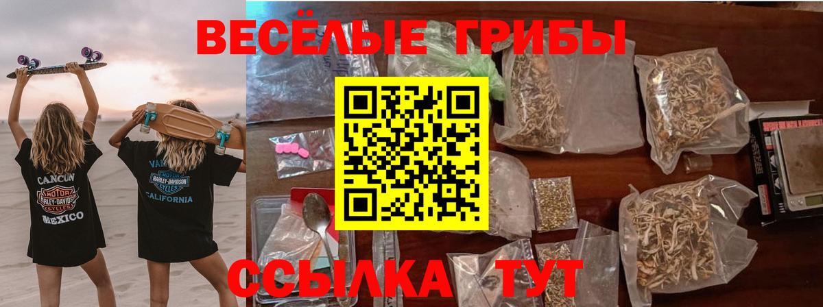 Клин  Галлюциногенные грибы MAGIC MUSHROOMS  Вход с VPN 