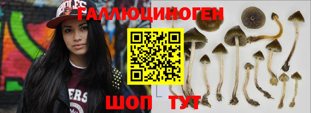 Клин  Вход с VPN  MDMA  ГАШ  Мефедрон кристаллы  Кокаин  ТГК  АМФЕТАМИН   Марихуана 
